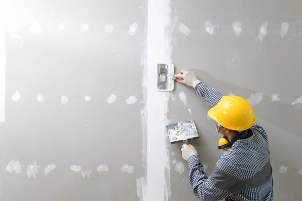 Best Drywall Sanding and Smoothing  in Limestone, IL