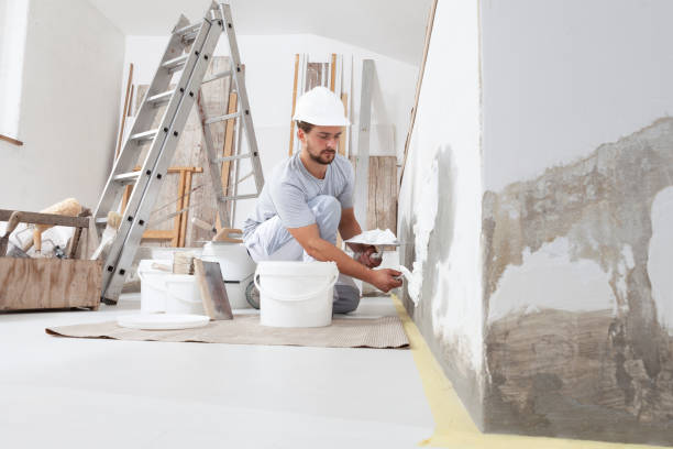 Best Trim and Molding Painting  in Limestone, IL